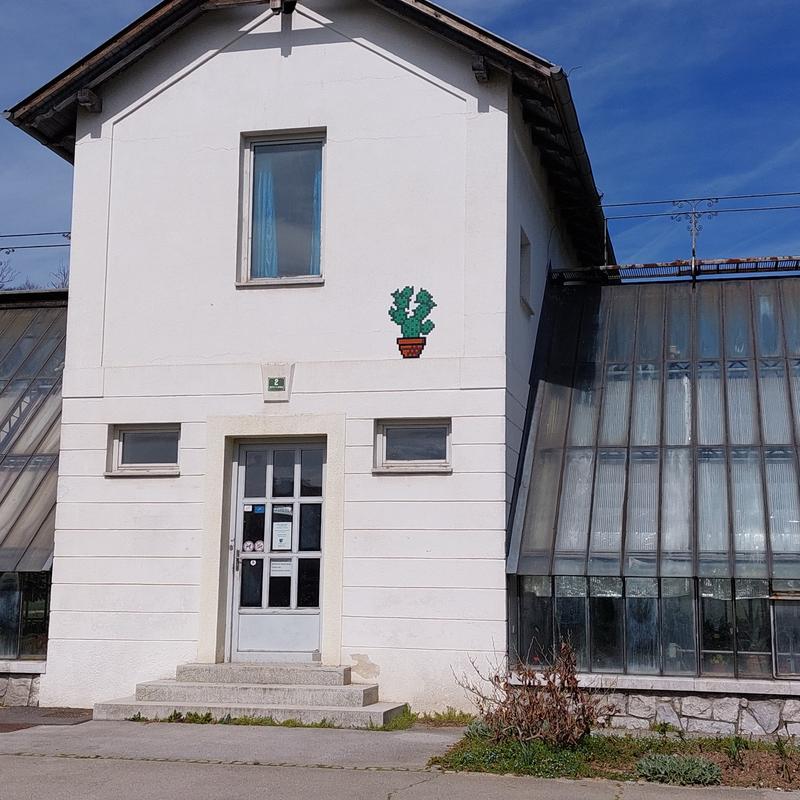 Rastlinjak Tivoli